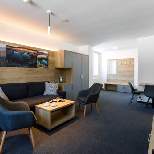 Deluxe Pokoj se sprchou s manželskou postelí (s možností přistýlky)