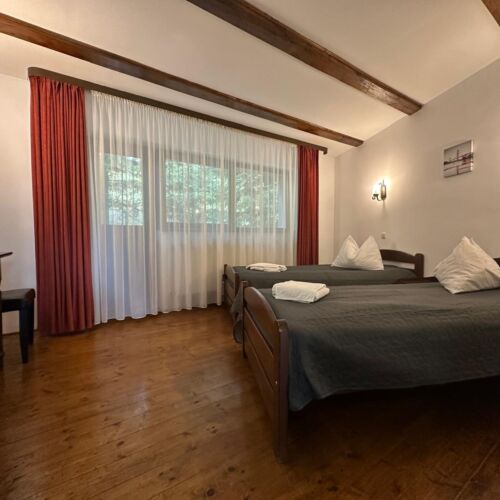 Camera  twin cu vedere spre pădure