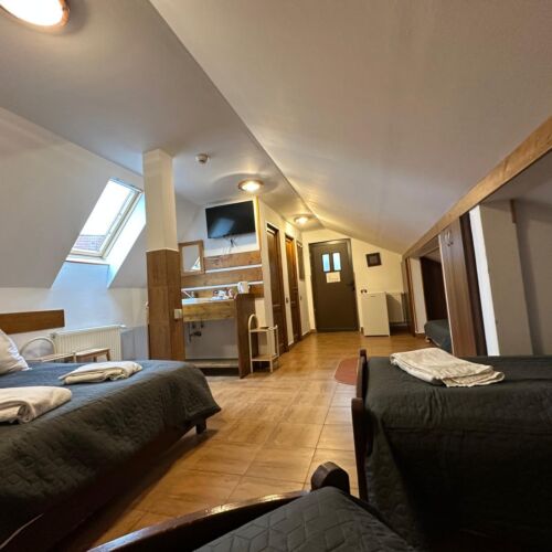 Suita mansardă cu 1 camera pentru 4 pers.