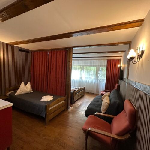 Camera tripla la parter cu vedere spre pădure