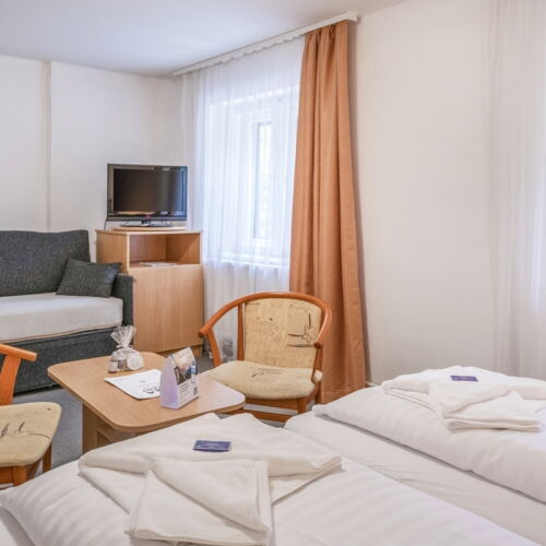 Camera tripla familial(ă) cu vedere spre grădină