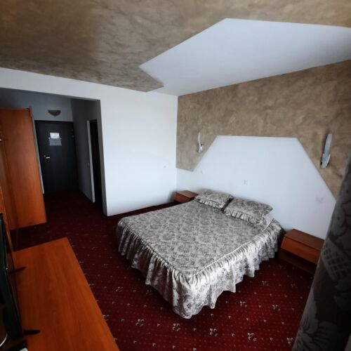 Camera dubla standard