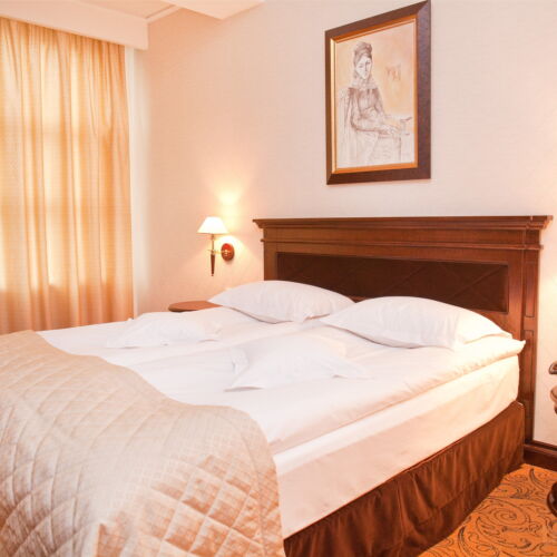 Camera dubla standard