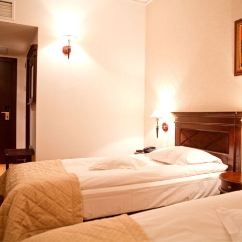 Camera twin standard