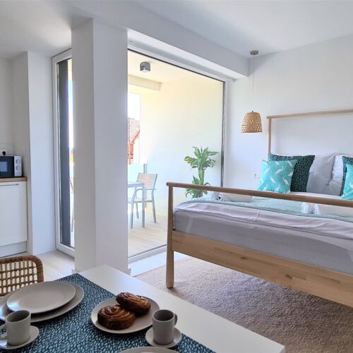 Studio 1-Room Apartment for 2 Persons with Terrace