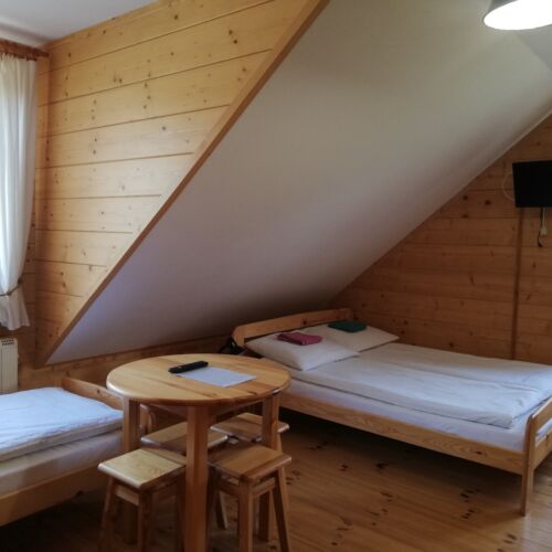 Camera cvadrupla cu baie cu vedere spre pădure