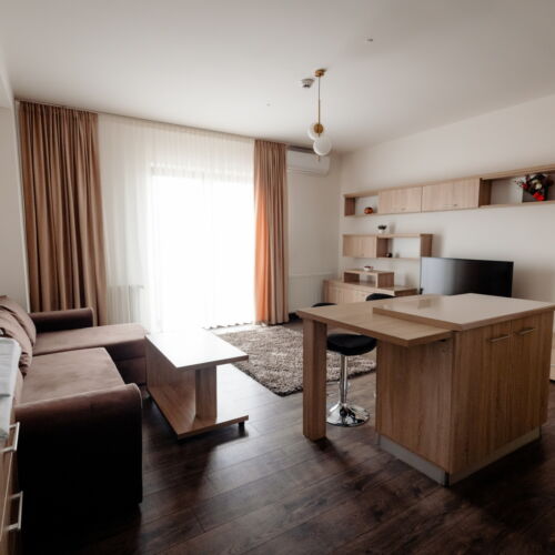 Apartament cu 1 camera pentru 3 pers.