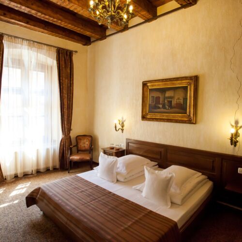 Camera dubla standard