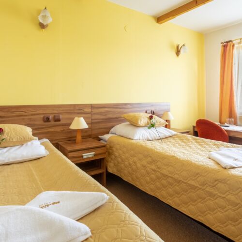 Twin Room ensuite with LCD/Plasma TV
