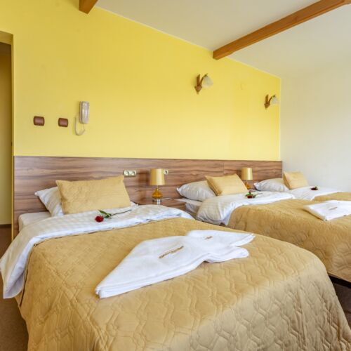 Forest View Triple Room ensuite