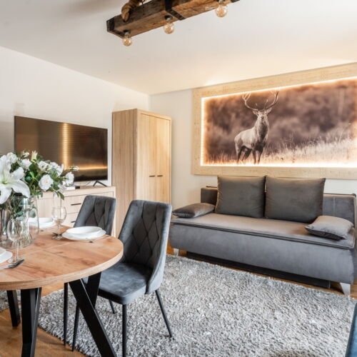2-Room Apartment for 5 Persons