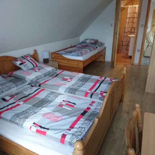 Camera tripla cu baie cu vedere spre munte