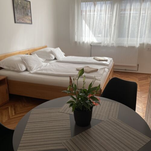 Apartament 2-osobowy z tarasem z widokiem na ogród z 1 pomieszczeniem sypialnianym (możliwa dostawka)