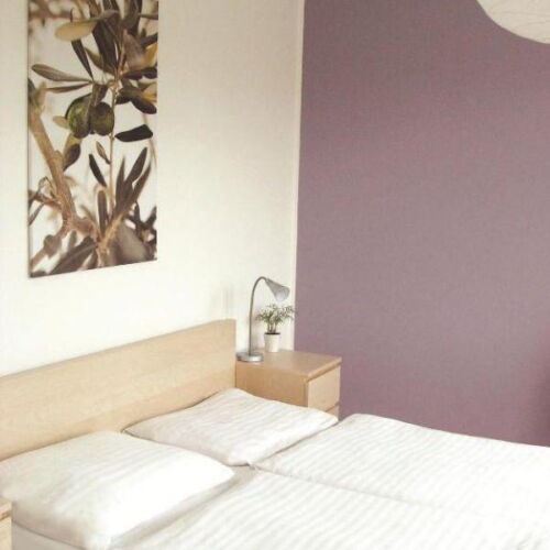 Apartman se sprchou  pro 2 os.