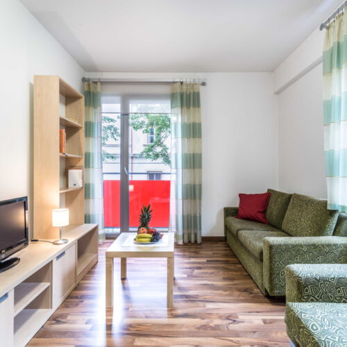 2-Room Apartment for 3 Persons with Shower and Kitchenette (extra bed available)