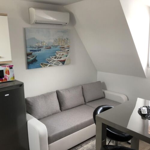 Apartament 2-osobowy na poddaszu Studio z 1 pomieszczeniem sypialnianym