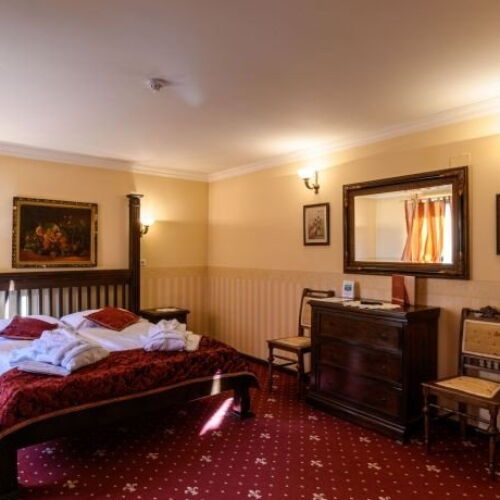 Camera dubla standard design