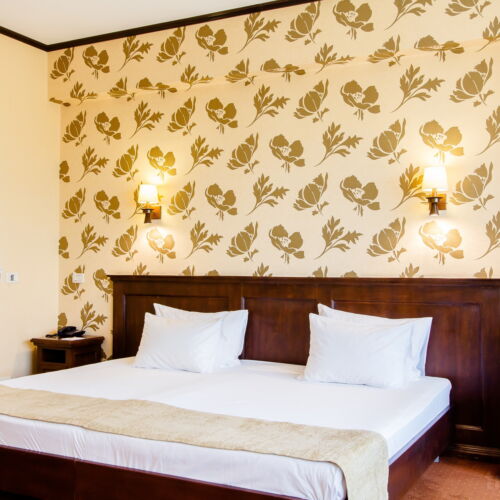 Camera dubla standard