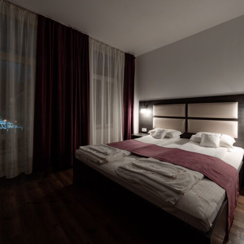 Camera dubla deluxe cu vedere spre oraș