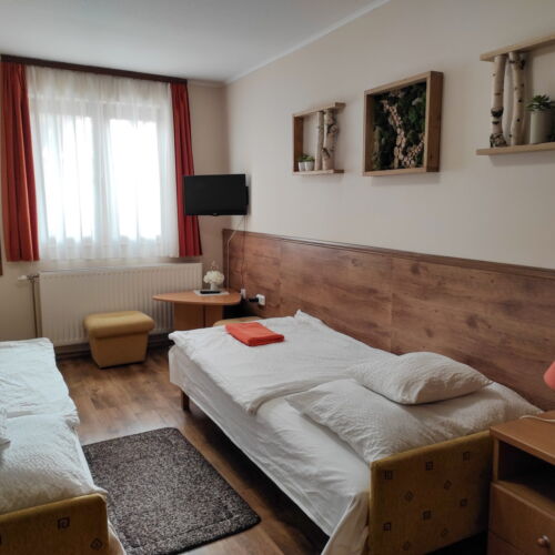 Standard 2-Room Apartment for 5 Persons