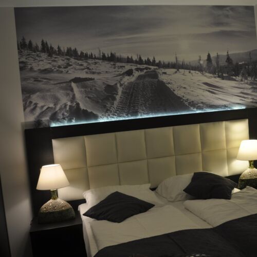 Pokój 5-osobowy Komfort z widokiem na ogród