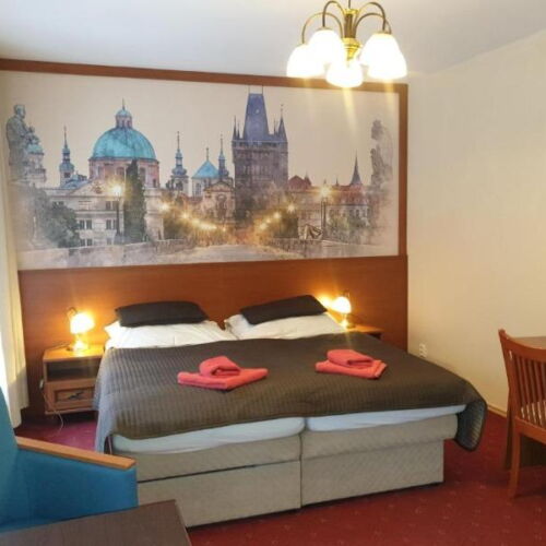 Pokoj tV s plochou obrazovkou se sprchou s manželskou postelí