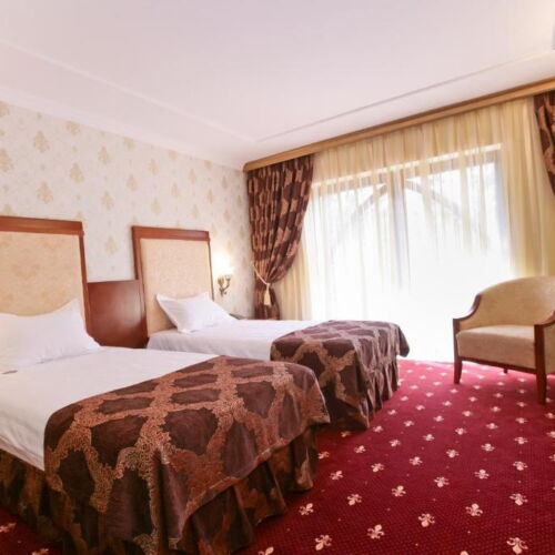 Camera twin (se poate solicita pat suplimentar)