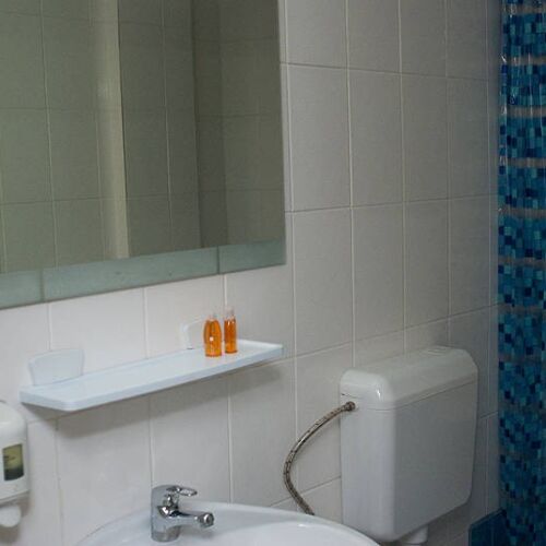 Camera twin standard