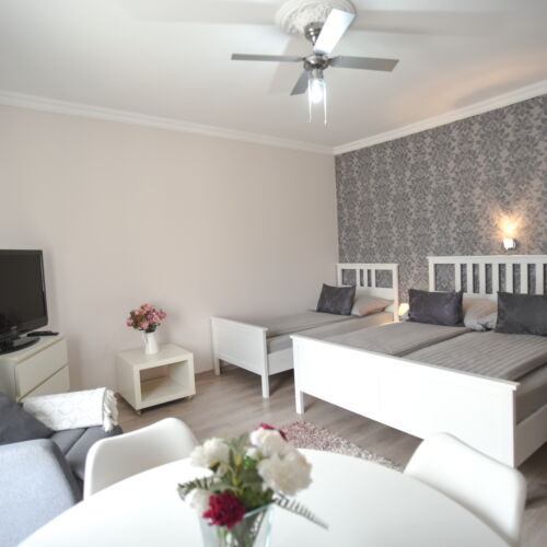 Apartament confort family cu 1 camera pentru 3 pers.