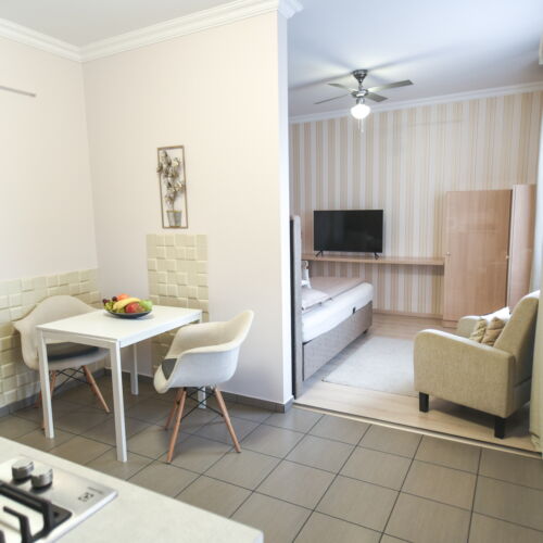 Apartament studio la parter cu 1 camera pentru 2 pers.