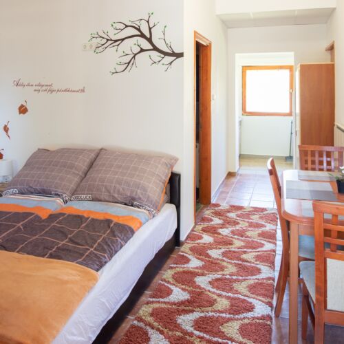 1-Room Apartment for 2 Persons ensuite with Kitchen