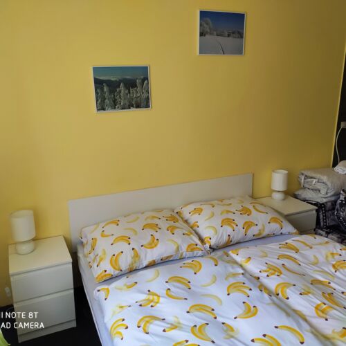 Double Room with Shared Bathroom (extra bed available)