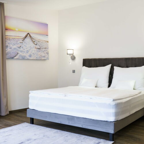 Executive 1-Room Apartment for 2 Persons with Shower (extra beds available)