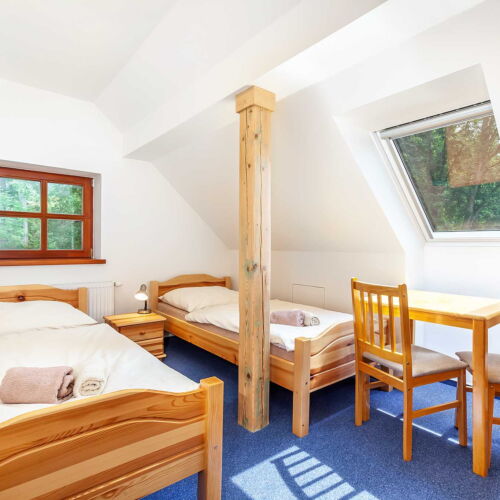 Pokój 2-osobowy z prysznicem (możliwa dostawka)