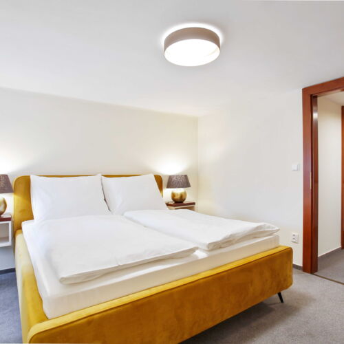 Superior Double Room with Shower