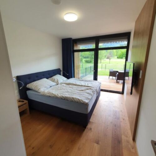 1-Room Apartment for 2 Persons with Shower and Kitchenette (extra beds available)