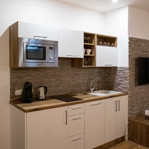 2-Room Apartment for 4 Persons with Shower and Kitchenette (extra beds available)