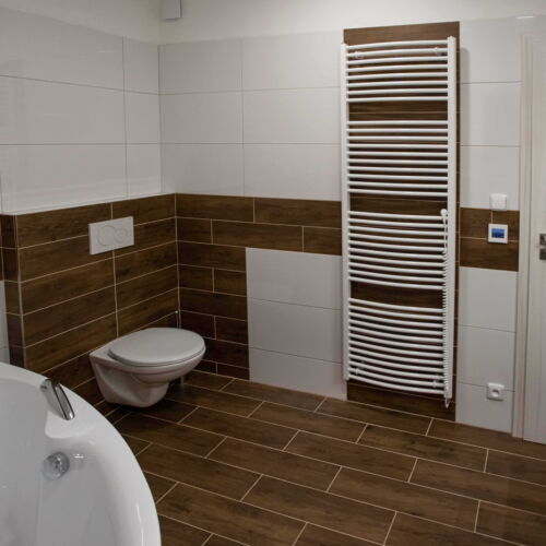 1-Room Apartment for 2 Persons with Shower and Kitchenette (extra bed available)