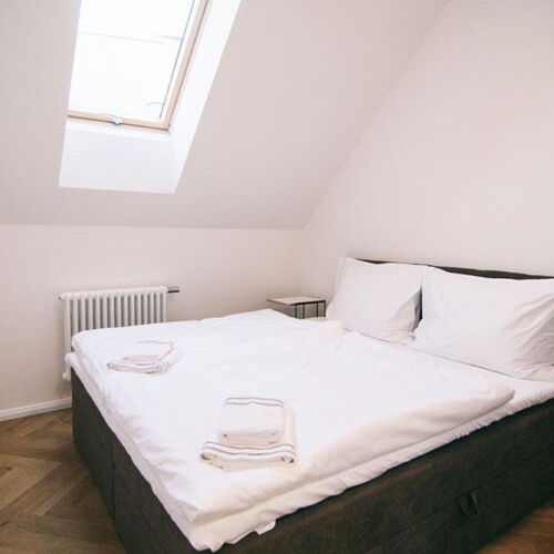 Pokoj se sprchou s privátní koupelnou mimo apartmán s manželskou postelí (s možností přistýlky)