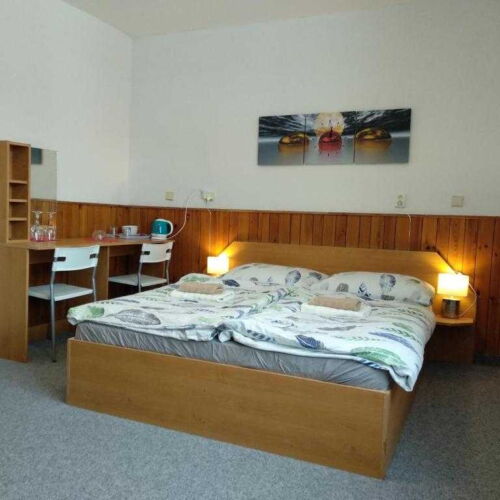 Pokoj se sprchou  pro 2 os.