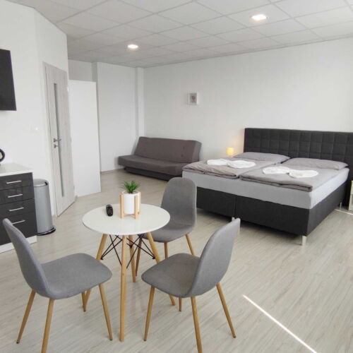 Deluxe  Apartmán s manželskou posteľou s 1 spálňou