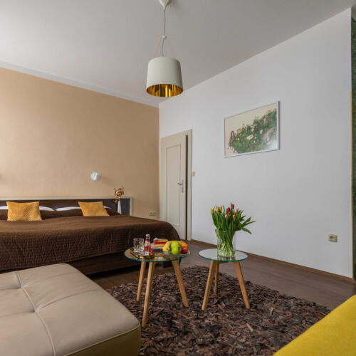 Camera dubla deluxe cu duș (se poate solicita pat suplimentar)