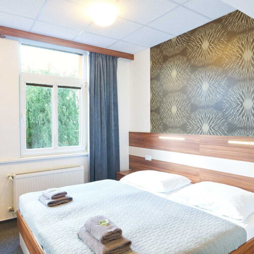 Business Double Room (extra bed available)