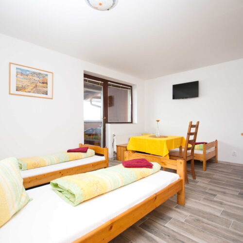 Pokoj se sprchou  pro 3 os.