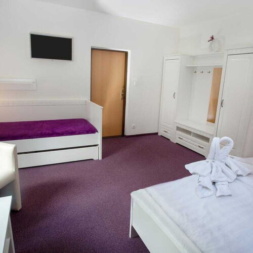 Pokoj se sprchou  pro 3 os.