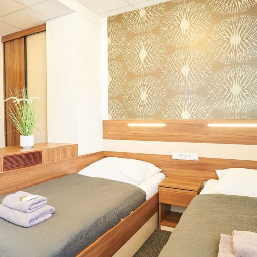 Business Twin Room