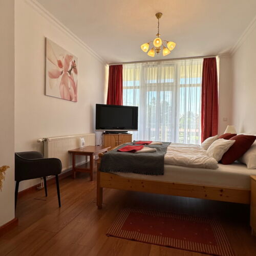 Standard Plus 1-Zimmer-Apartment für 3 Personen Obergeschoss