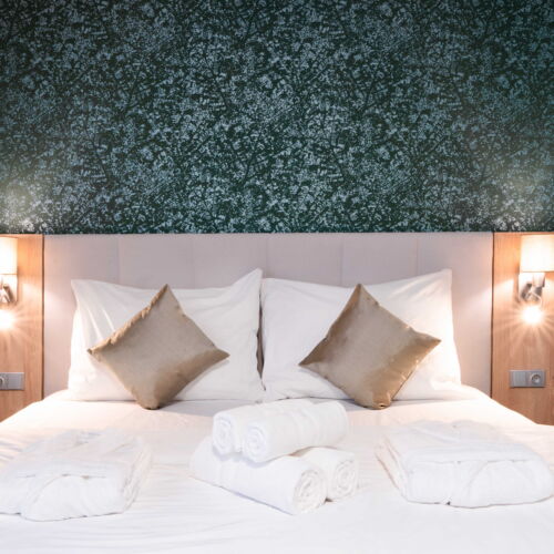 Camera twin superior cu duș (se poate solicita pat suplimentar)