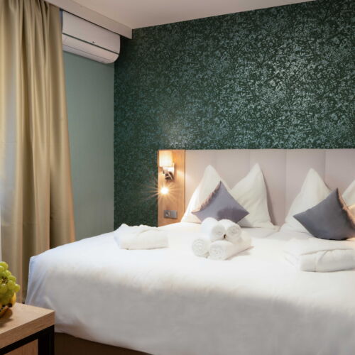 Camera twin standard cu duș