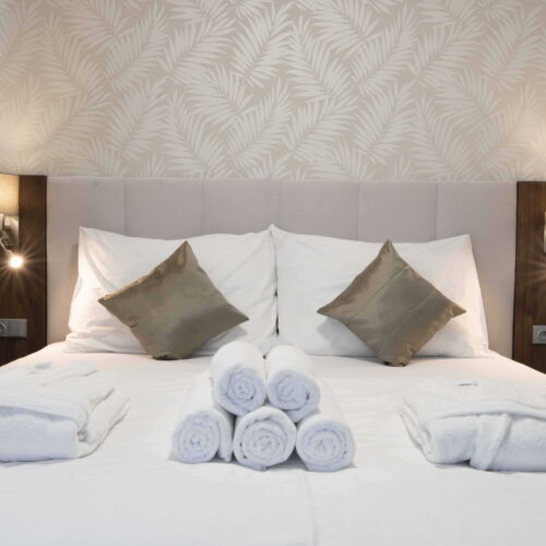 Camera twin cu duș cu aer condiționat (se poate solicita pat suplimentar)